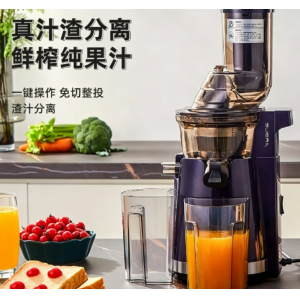家用原汁机渣汁分离炸水果家用便携果汁机电动榨汁机